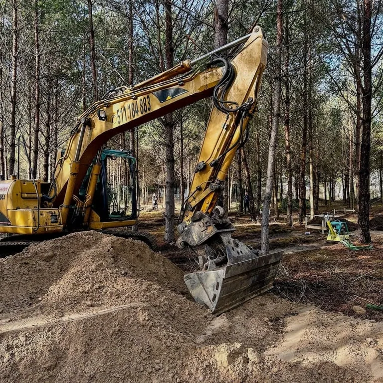 Before the forest paths appeared.
