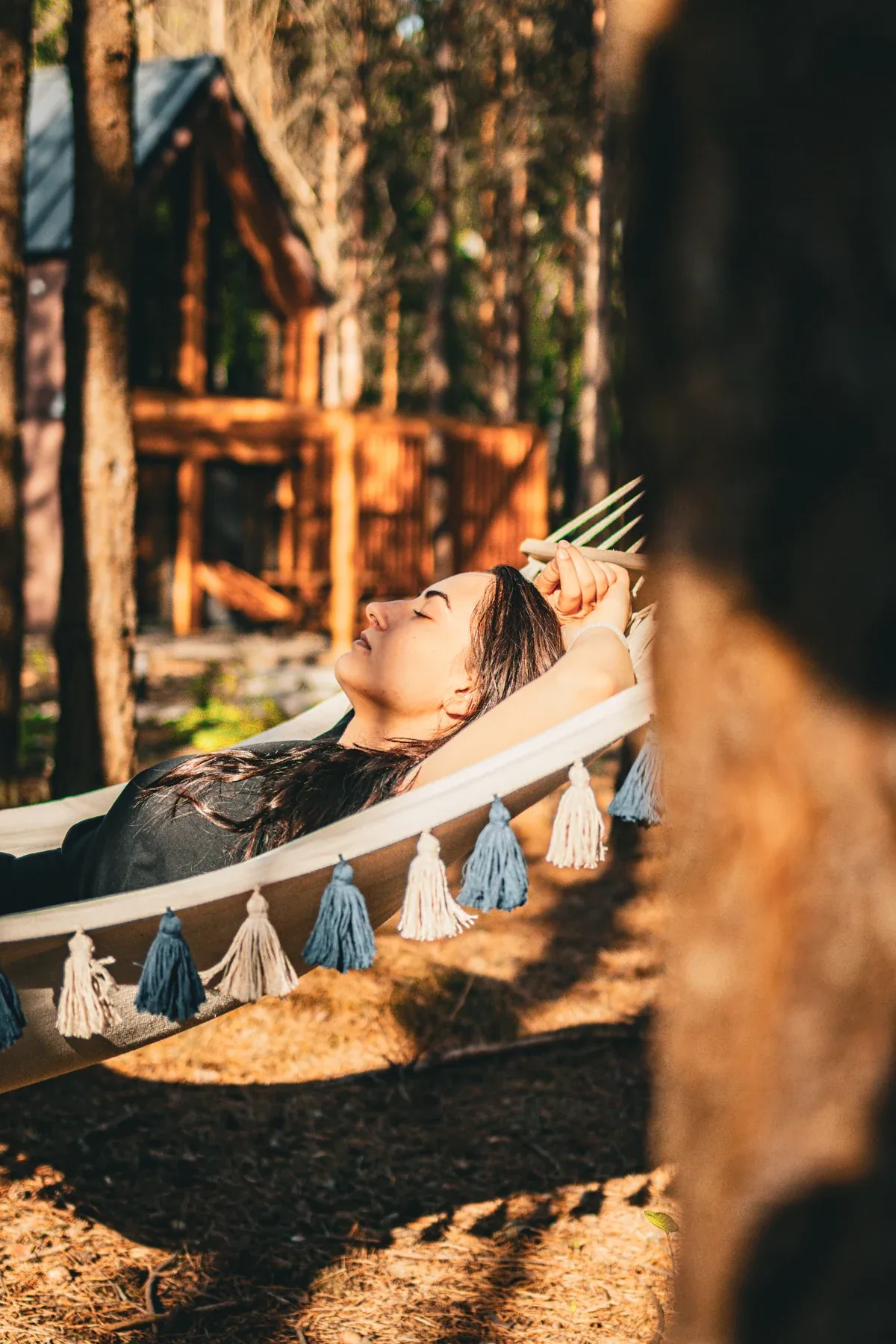 Resting in a hammock between the pines