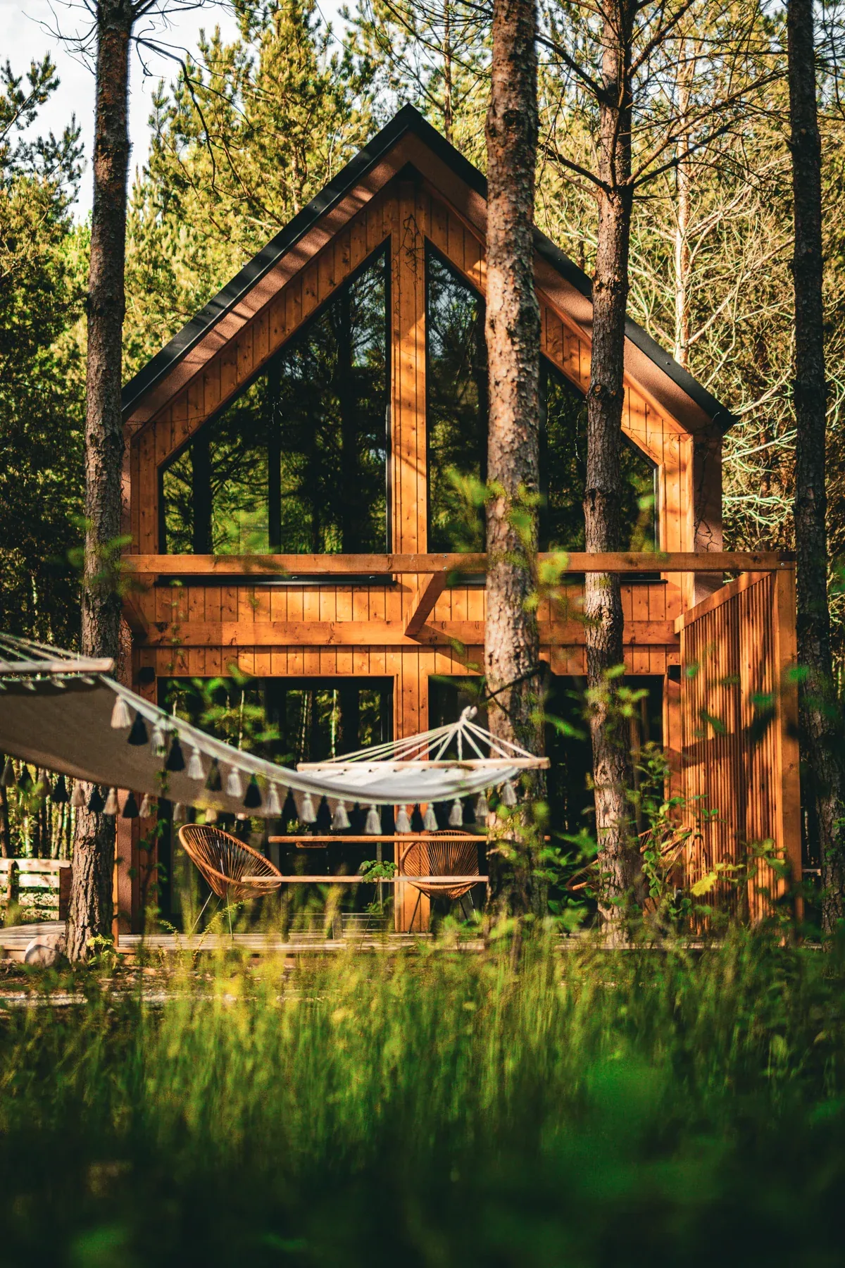 A cabin and hammock in the green forest