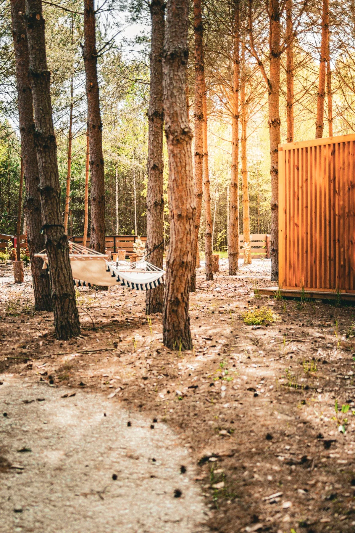 A forest path beside the spa area