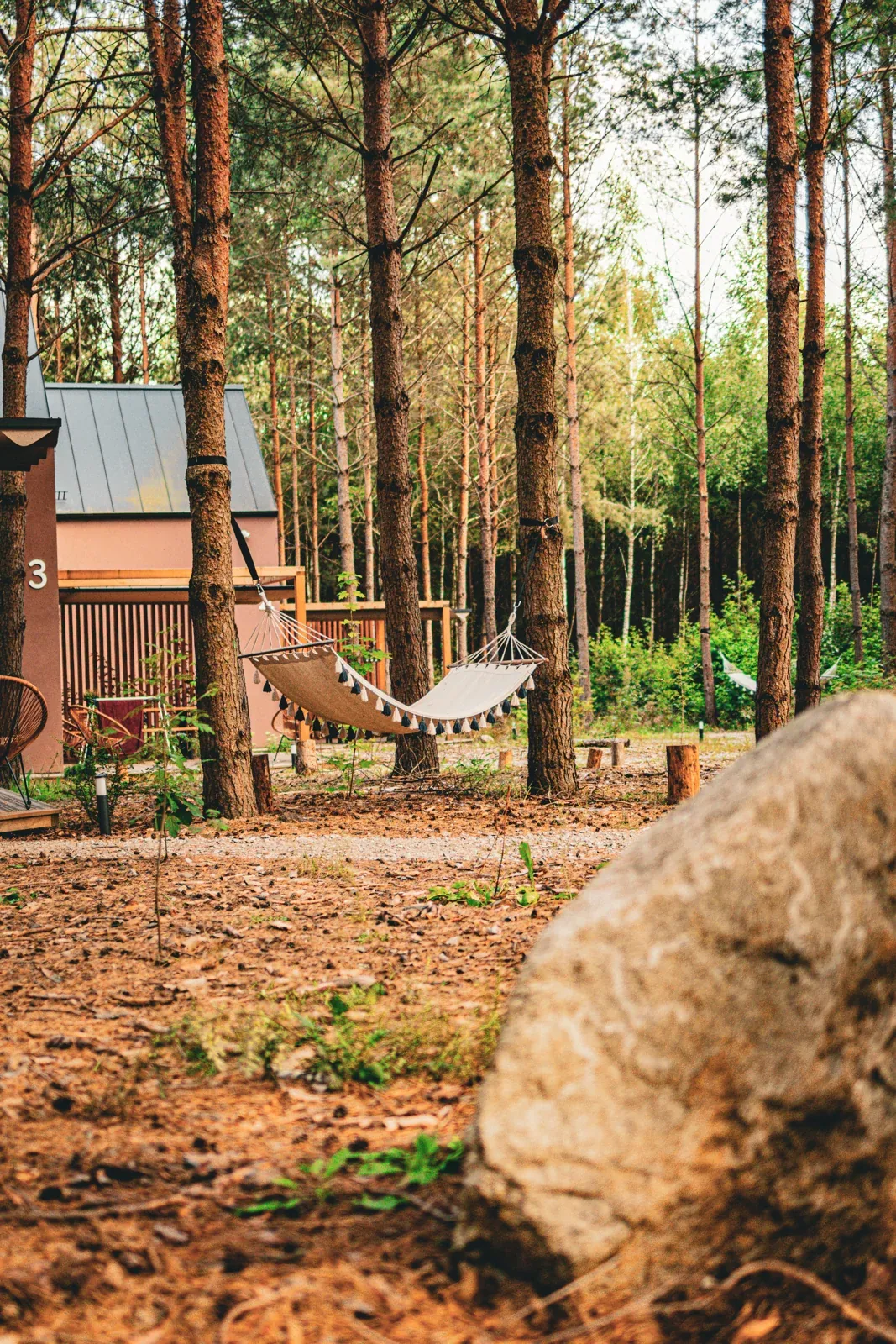 A hammock between the forest cabins
