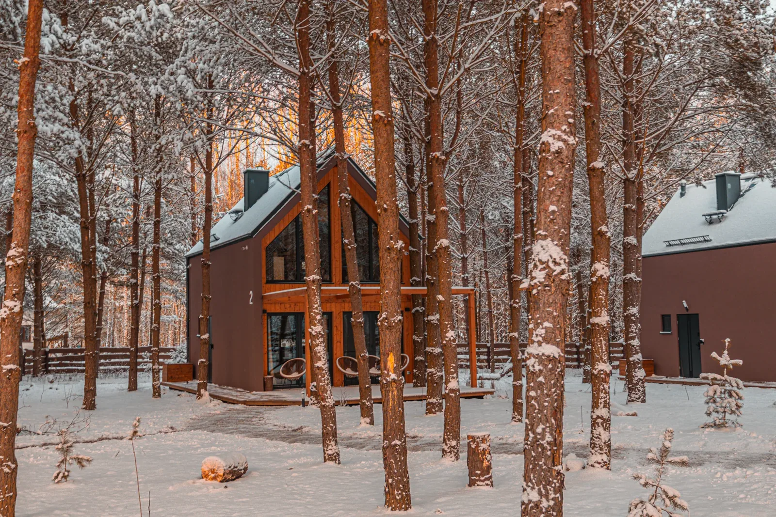 Cabins and pines covered in snow