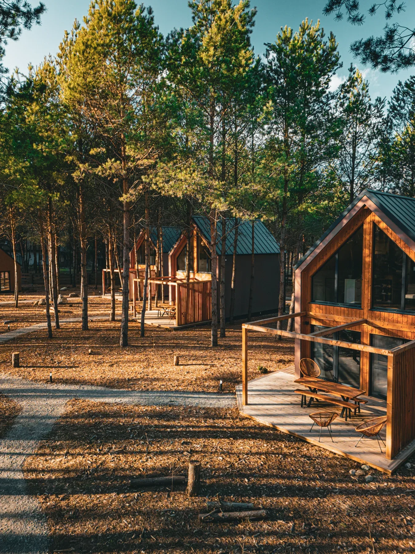 Cabins and shared spaces among the pines