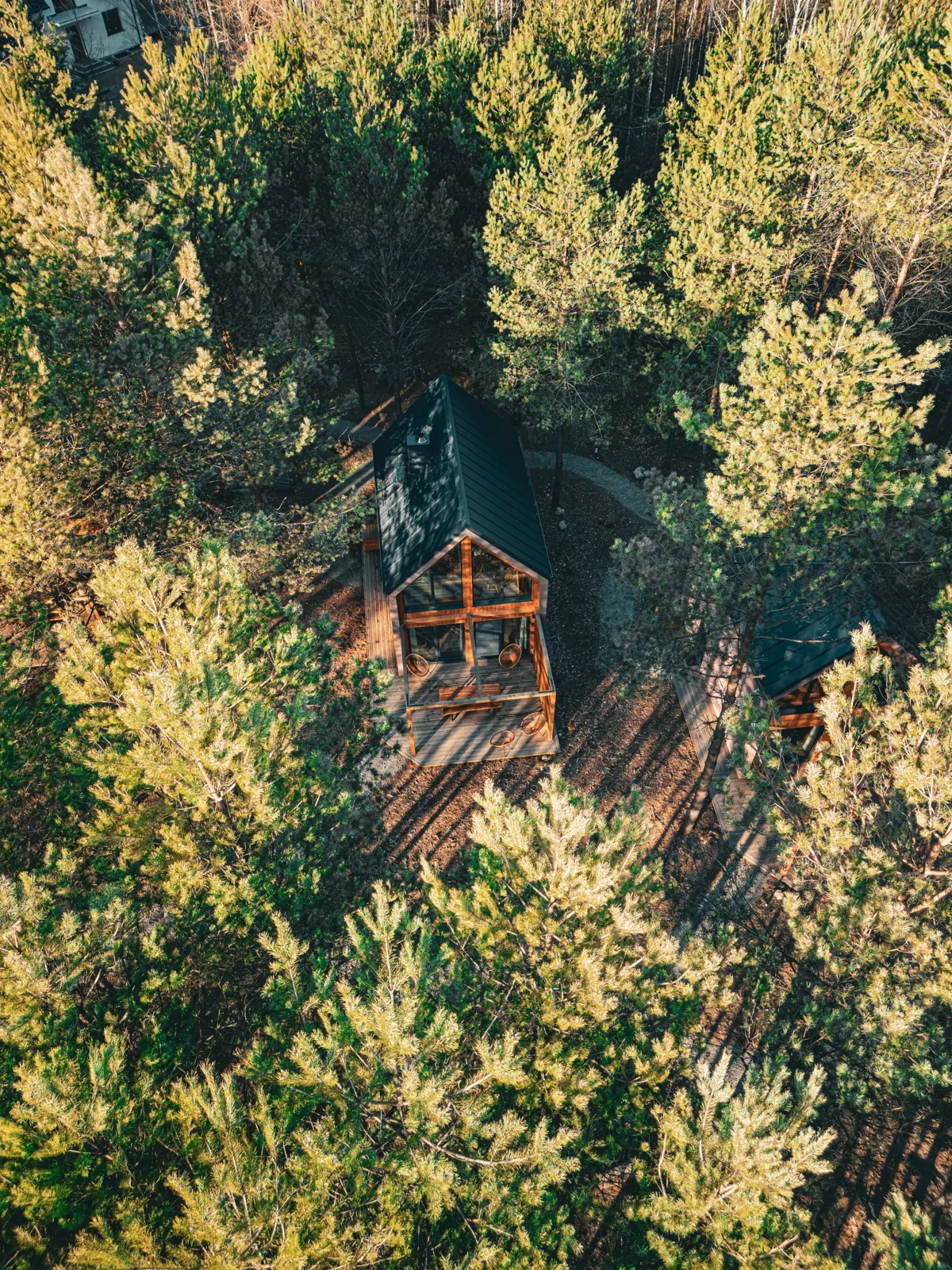 A cabin tucked among the treetops