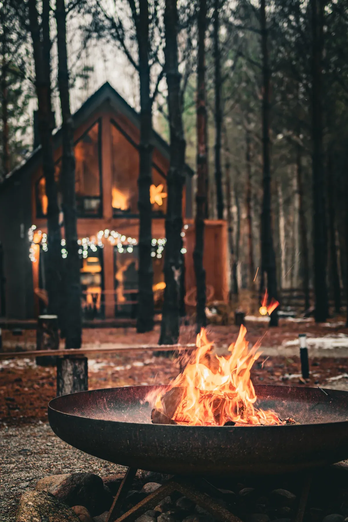 The fire pit and forest seating area