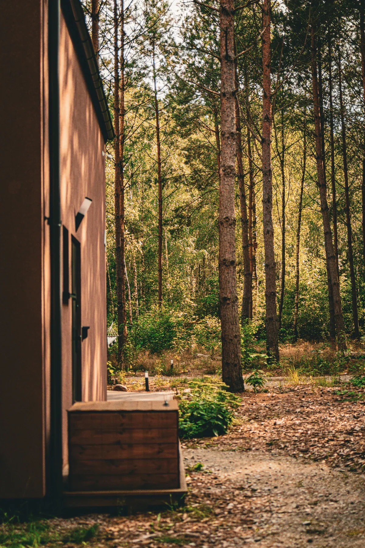 A forest path beside a cabin