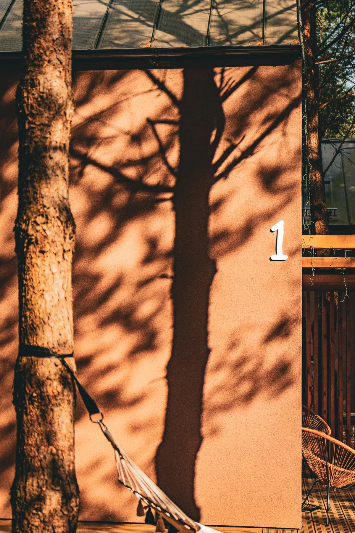 Branch shadows on a cabin wall