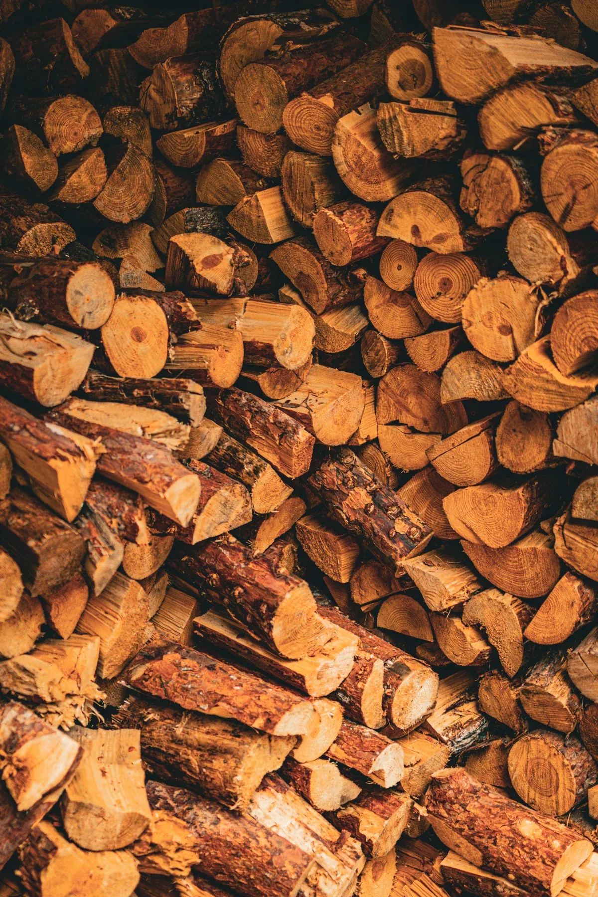 Logs stacked in the woodshed