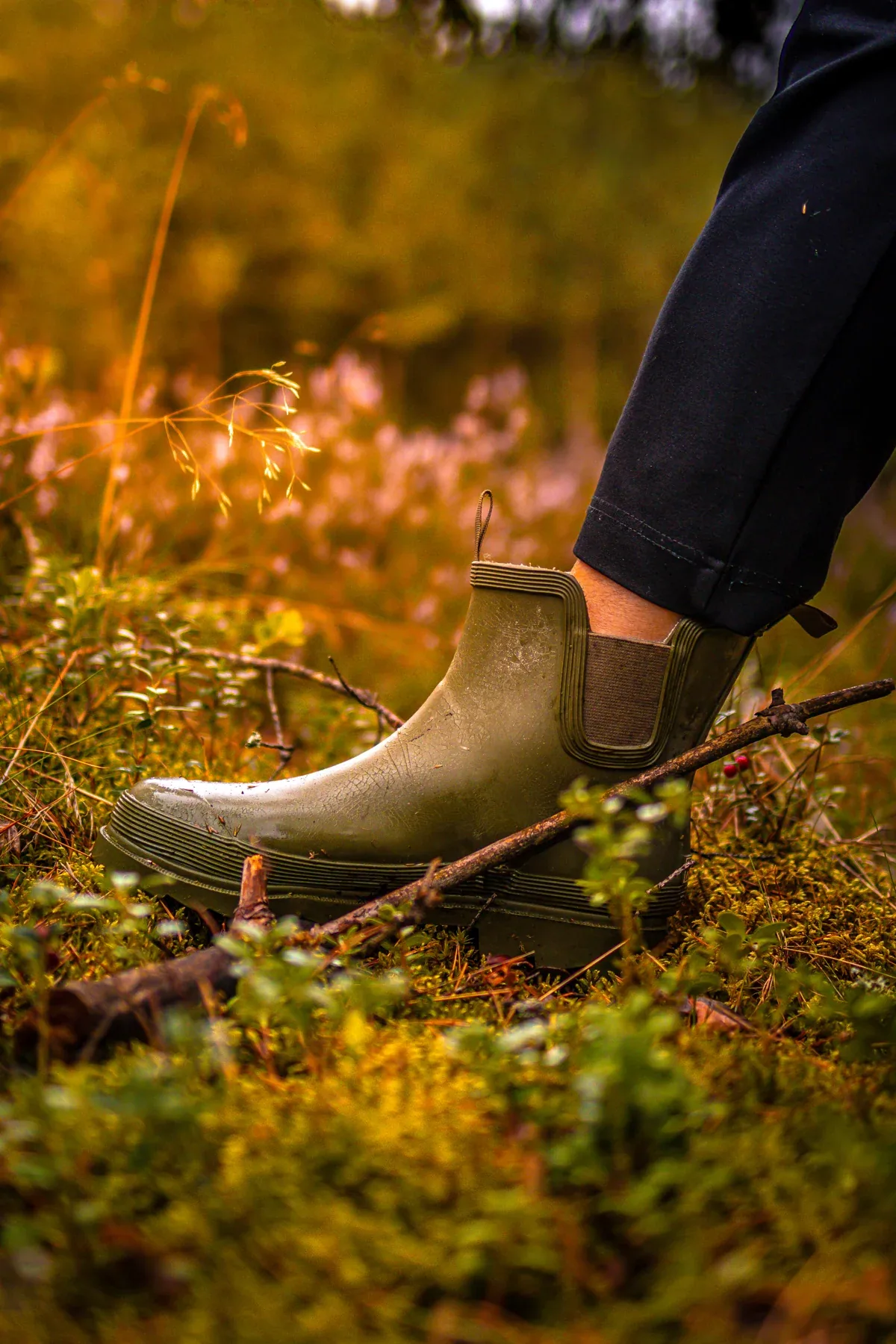 An autumn walk along a forest path