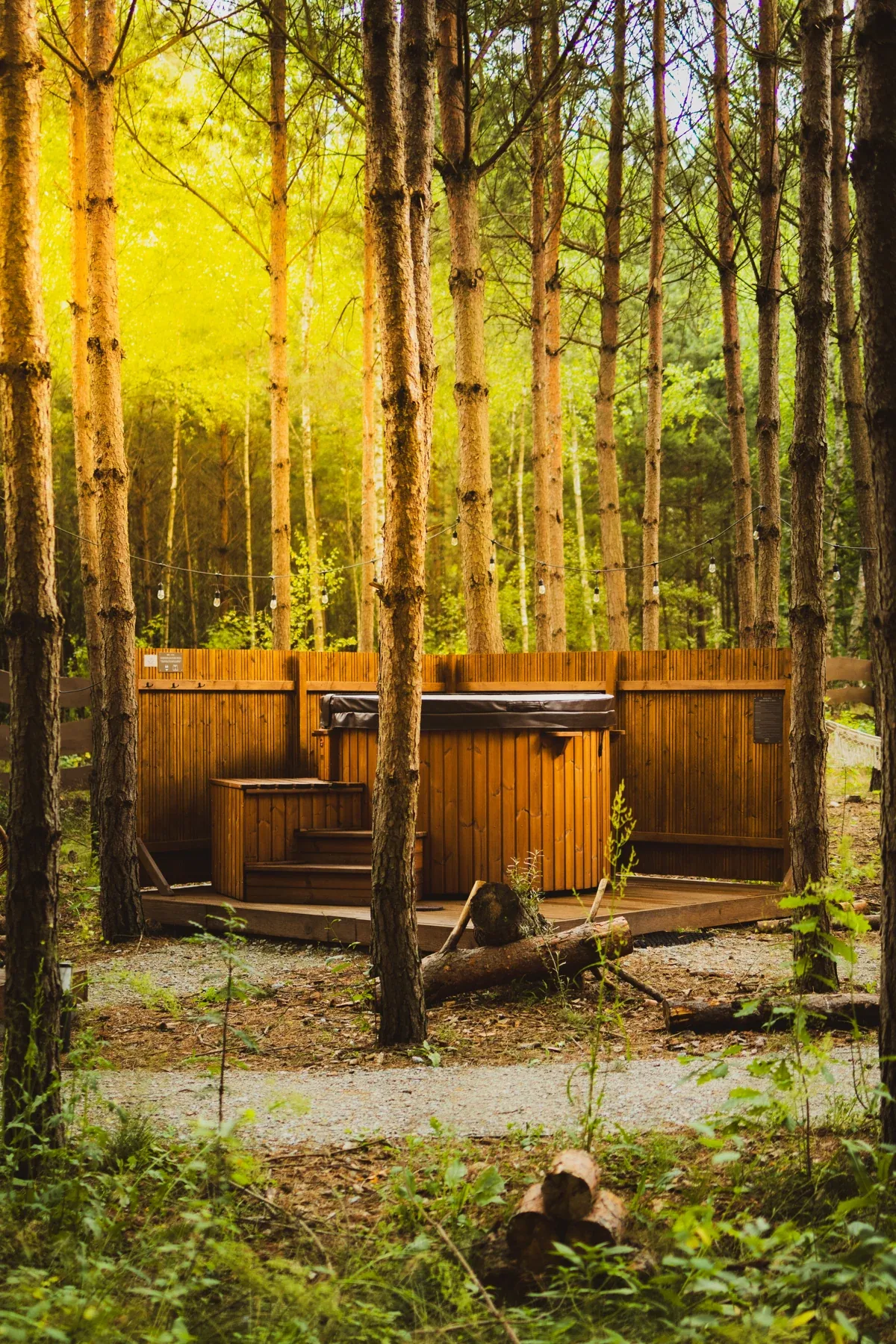 The hot tub and sauna in the autumn forest