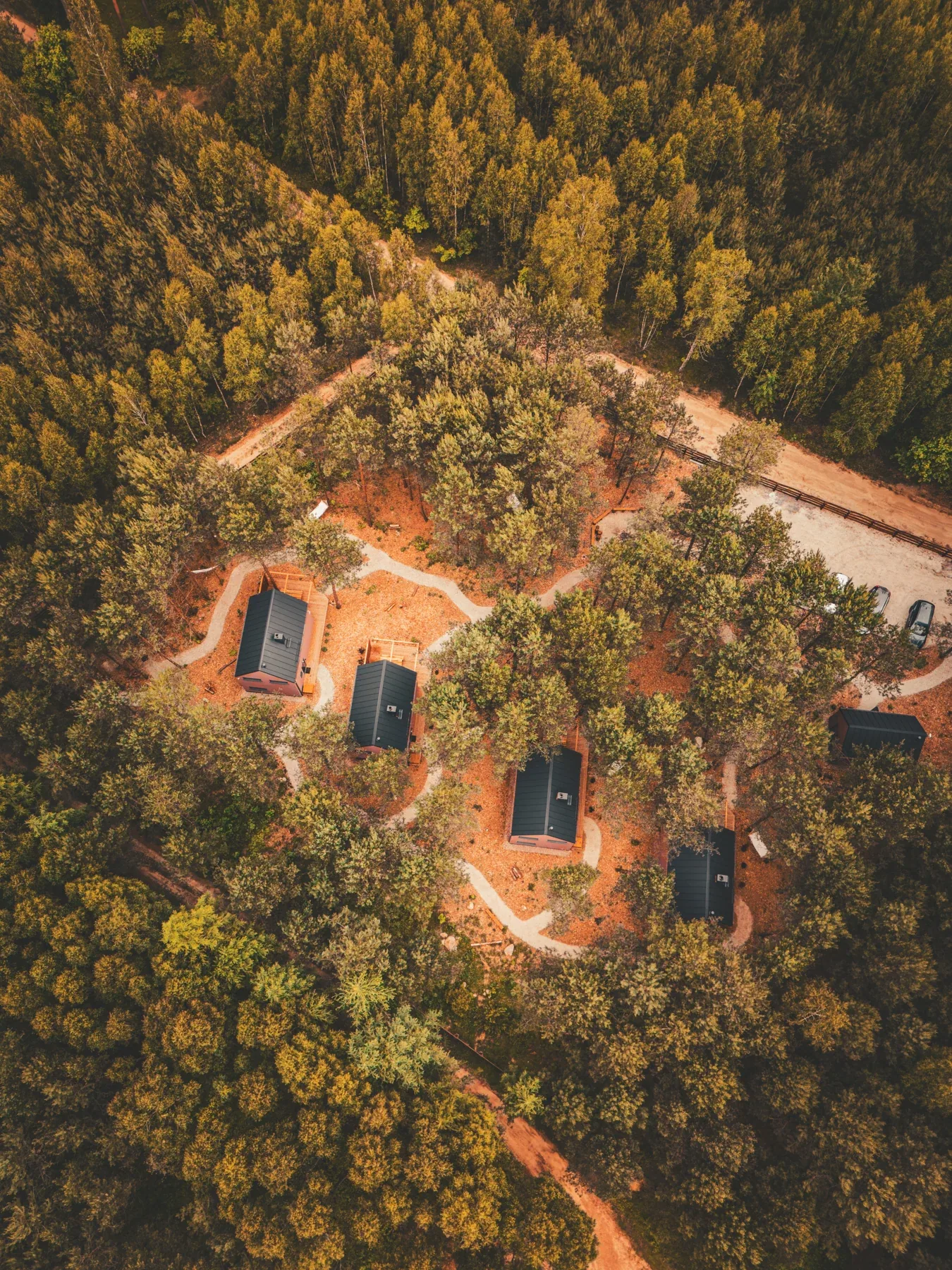 Cabins hidden among the trees