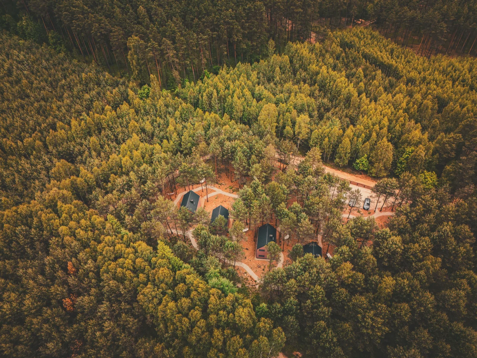 The forest around LoveLaski