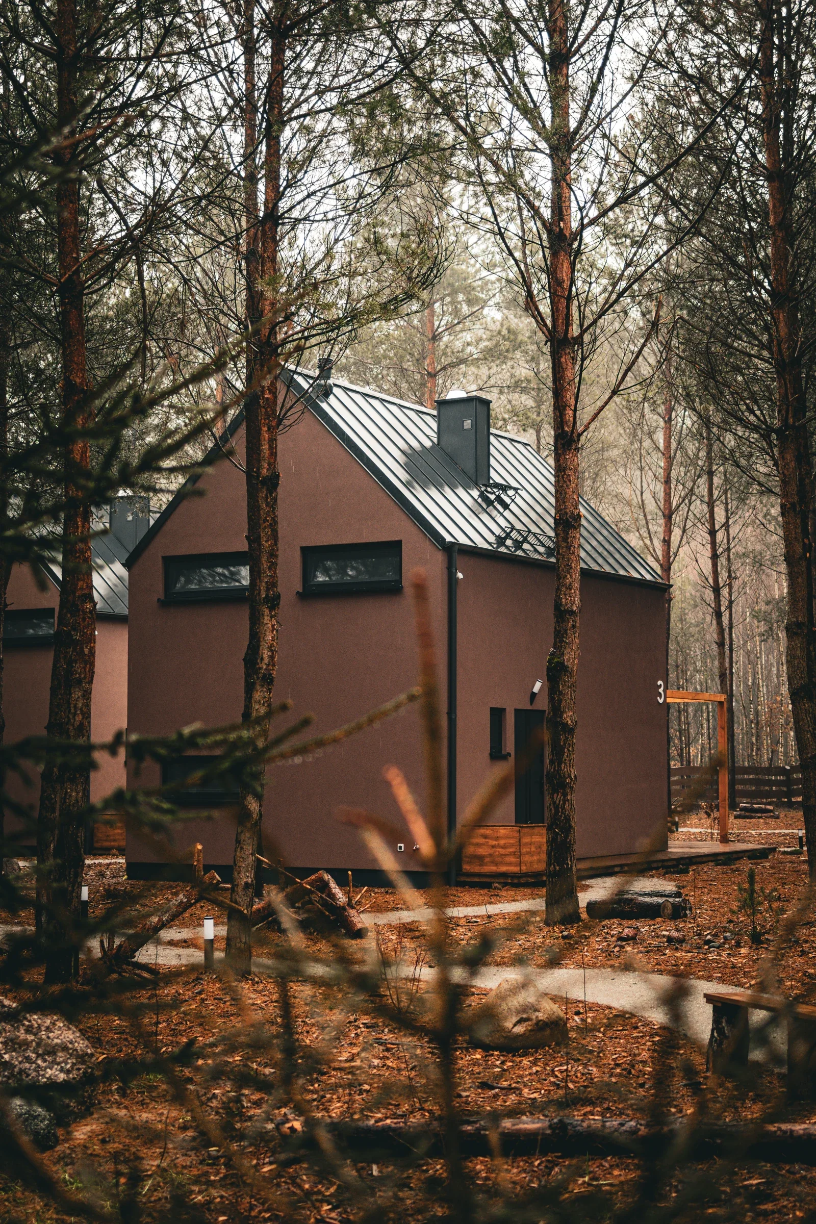 A cabin with a mezzanine among the trees
