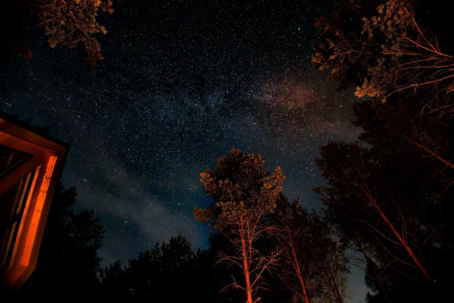 The forest at Osada LoveLaski